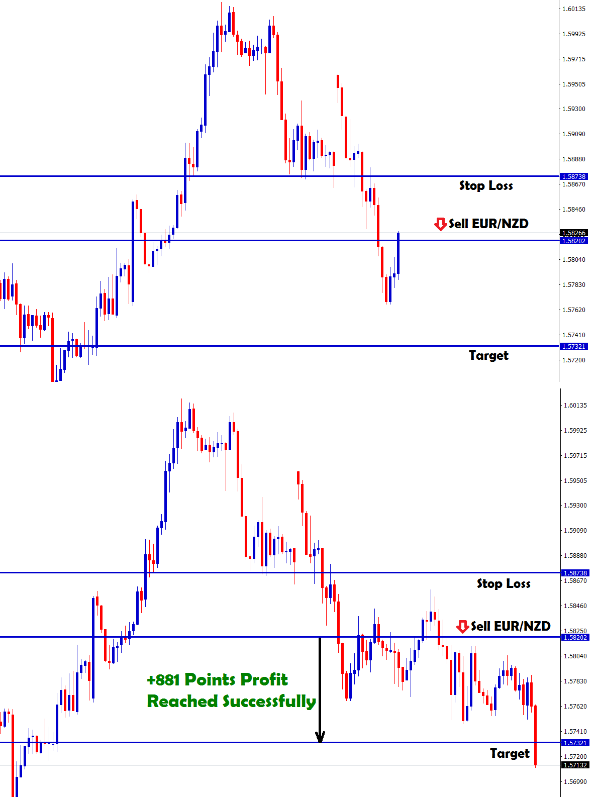 Day Trading And Swing Trading The Currency Market Technical And Fundamental Strategies To Profit From Market Moves