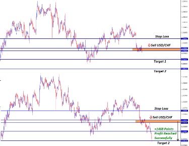 Technical and Fundamental Strategies to Profit from Market Moves