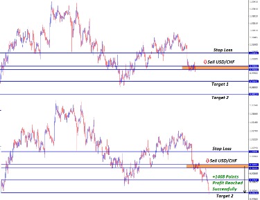 Technical and Fundamental Strategies to Profit from Market Moves